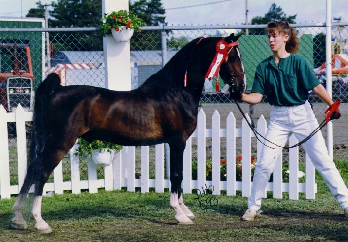 Jaime Edwards and Hanible