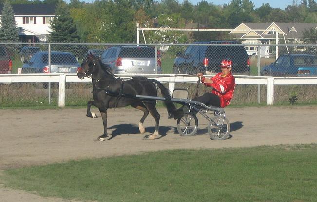 Ridgetop's Likity Split